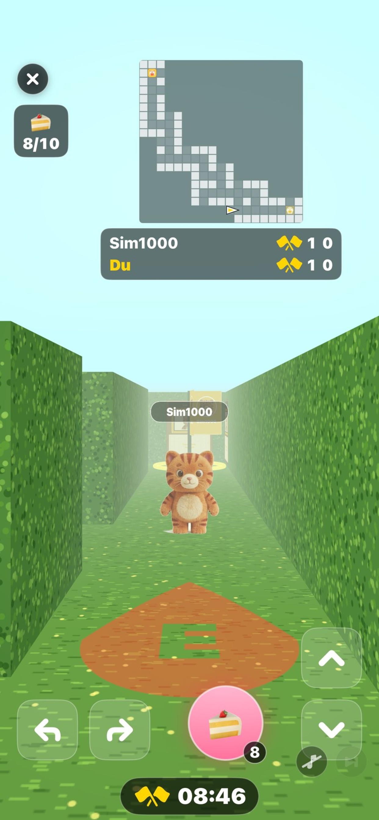 Singleplayer-Lauf